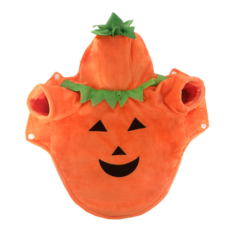 Vêtement Citrouille pour Chien – Habit Drôle et Chaud pour Halloween et Hiver