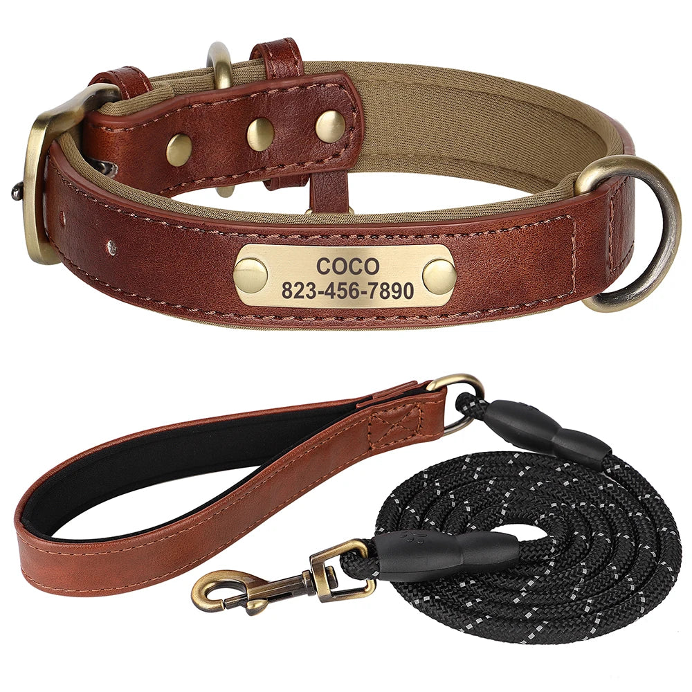 Ensemble Collier et Laisse Personnalisés pour Chien | Cuir PU avec Médaille Gravée