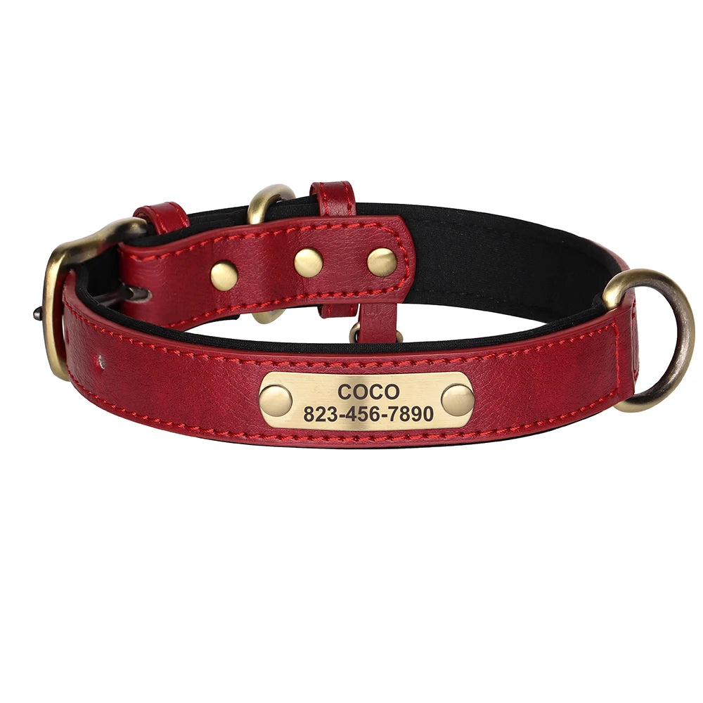 Ensemble Collier et Laisse Personnalisés pour Chien | Cuir PU avec Médaille Gravée