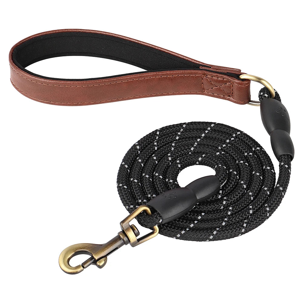 Ensemble Collier et Laisse Personnalisés pour Chien | Cuir PU avec Médaille Gravée