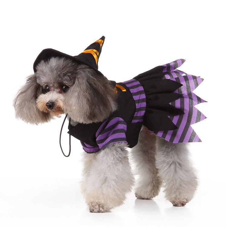 Vêtements pour Animaux Personnalisés – Costumes Originaux pour Chiens et Chats (Noël & Halloween
