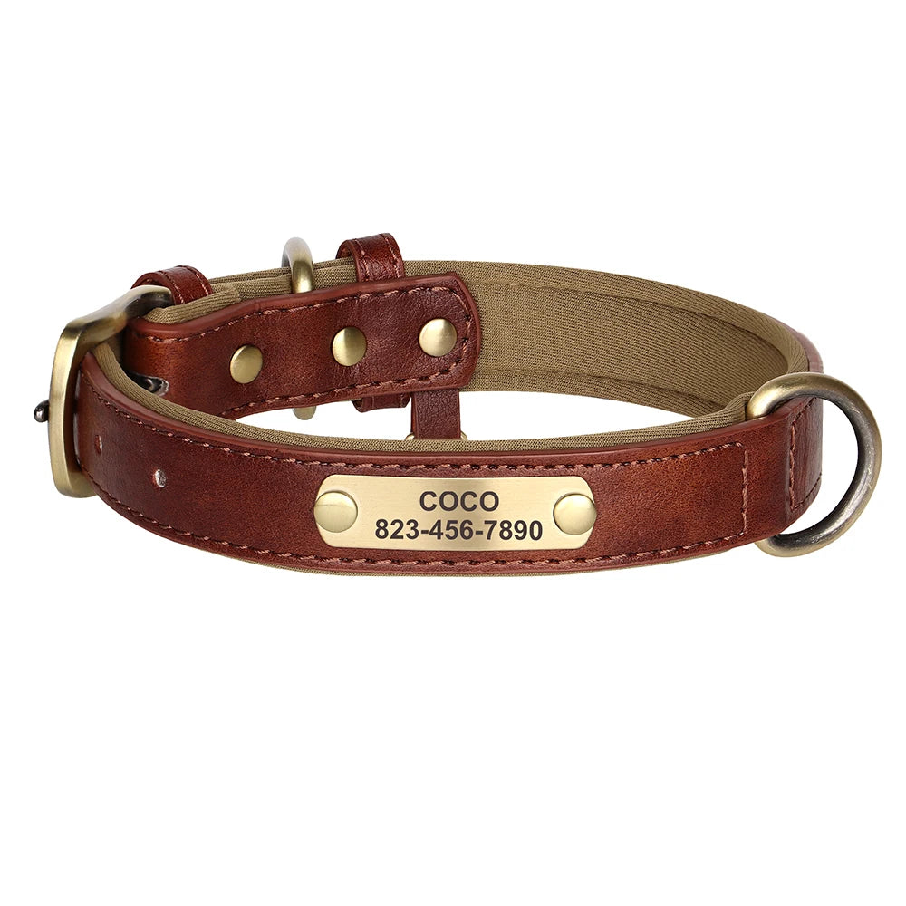Ensemble Collier et Laisse Personnalisés pour Chien | Cuir PU avec Médaille Gravée