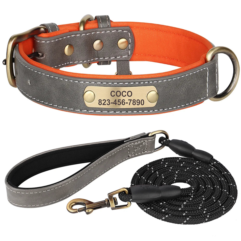 Ensemble Collier et Laisse Personnalisés pour Chien | Cuir PU avec Médaille Gravée