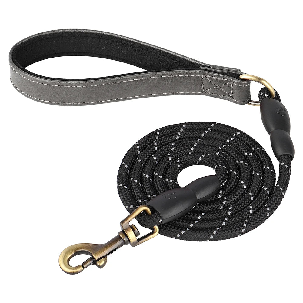 Ensemble Collier et Laisse Personnalisés pour Chien | Cuir PU avec Médaille Gravée