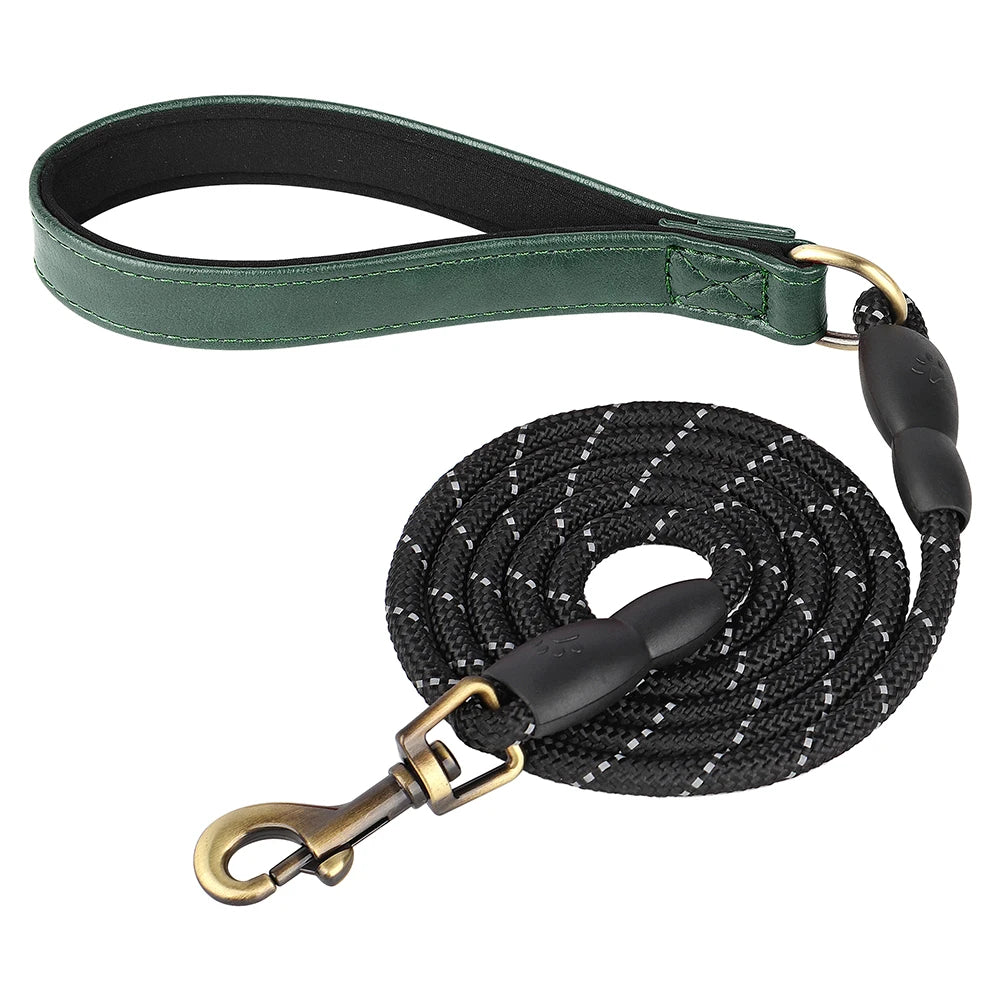 Ensemble Collier et Laisse Personnalisés pour Chien | Cuir PU avec Médaille Gravée