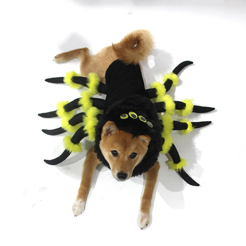 Costume Halloween pour Chien – Déguisement Rigolo Araignée / Chat pour Animaux