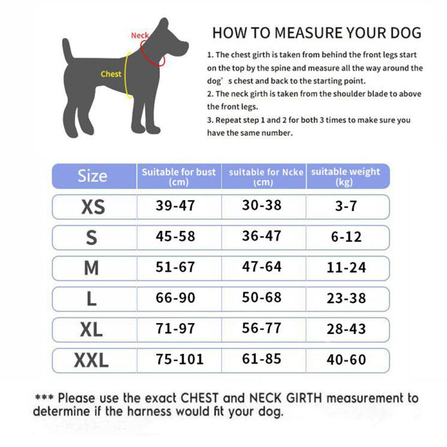Harnais Chien Personnalisé | Anti-Traction Réfléchissant & Ajustable | Harnais Respirant avec Patch Nom