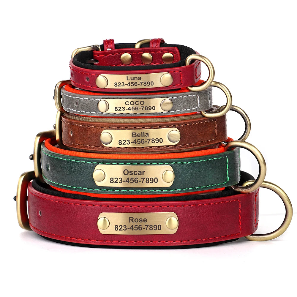 Ensemble Collier et Laisse Personnalisés pour Chien | Cuir PU avec Médaille Gravée