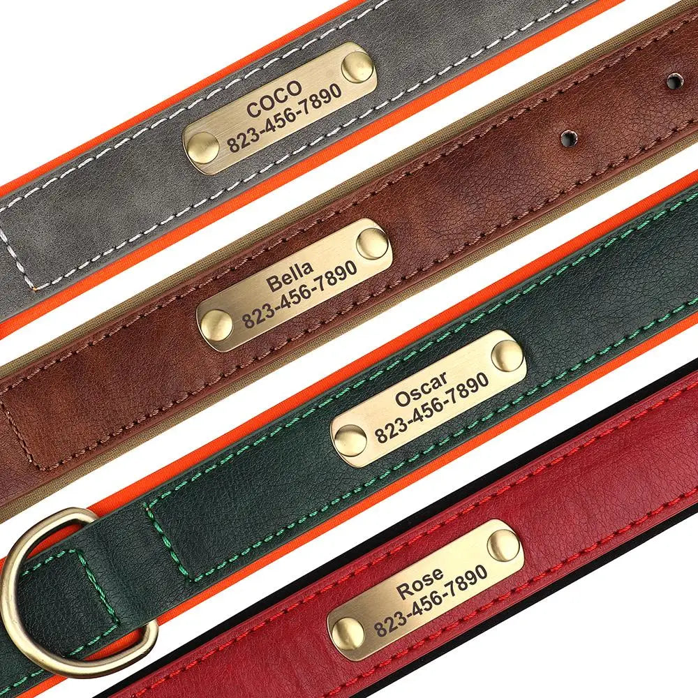 Ensemble Collier et Laisse Personnalisés pour Chien | Cuir PU avec Médaille Gravée