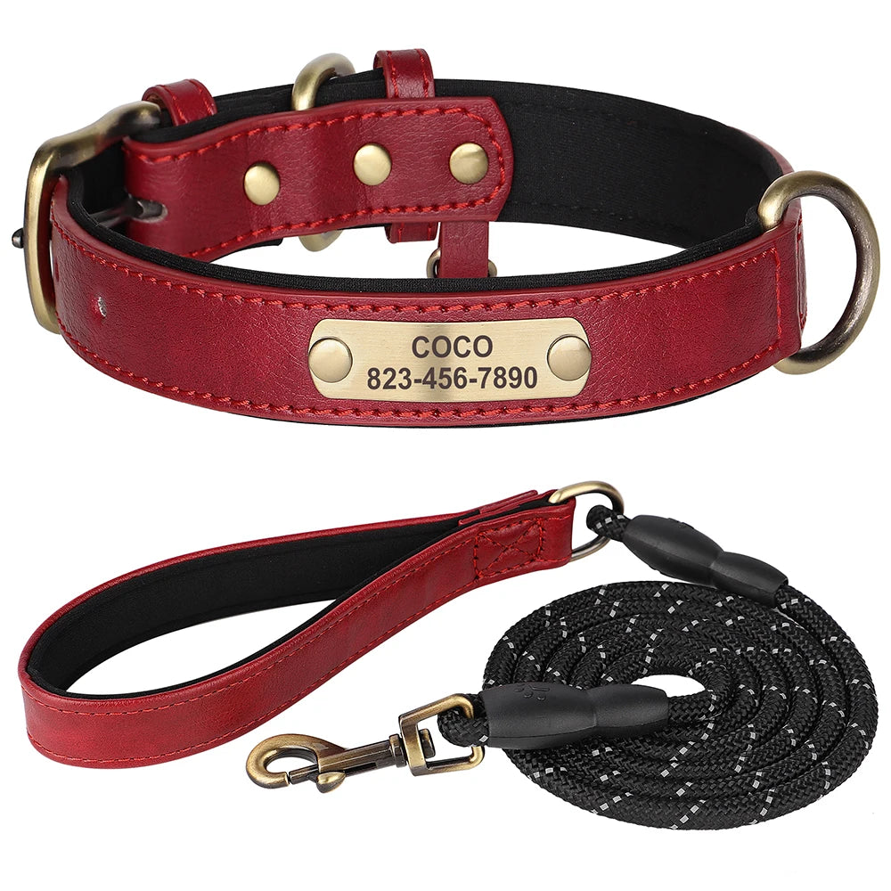 Ensemble Collier et Laisse Personnalisés pour Chien | Cuir PU avec Médaille Gravée