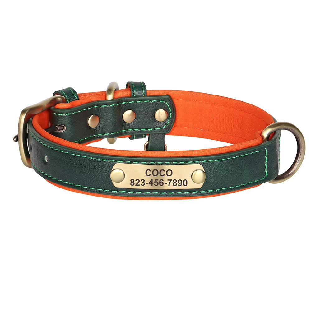 Ensemble Collier et Laisse Personnalisés pour Chien | Cuir PU avec Médaille Gravée