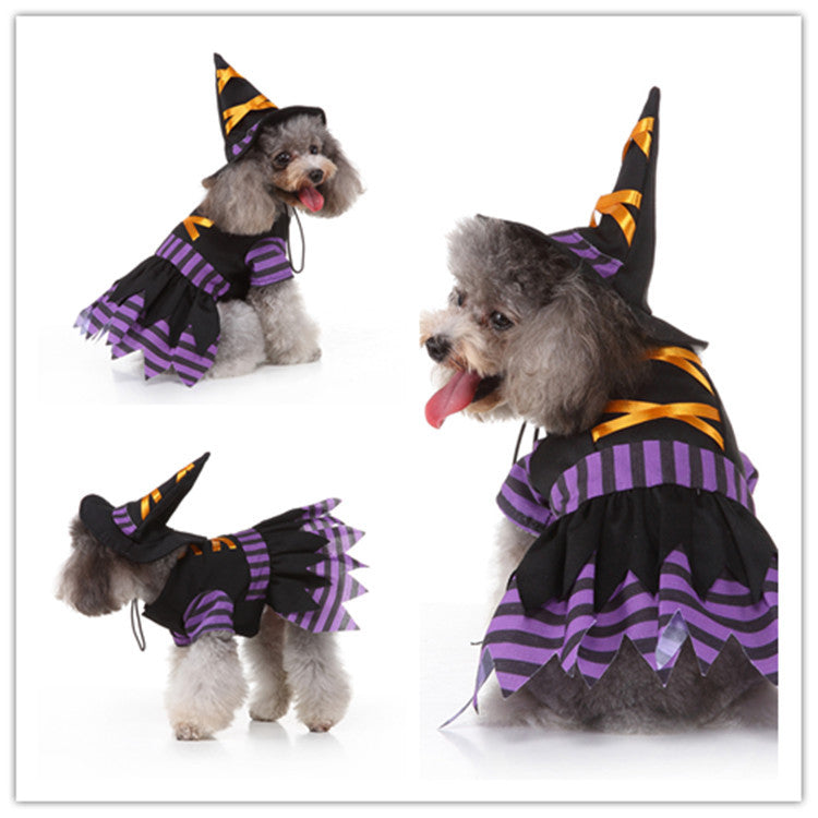 Vêtements pour Animaux Personnalisés – Costumes Originaux pour Chiens et Chats (Noël & Halloween