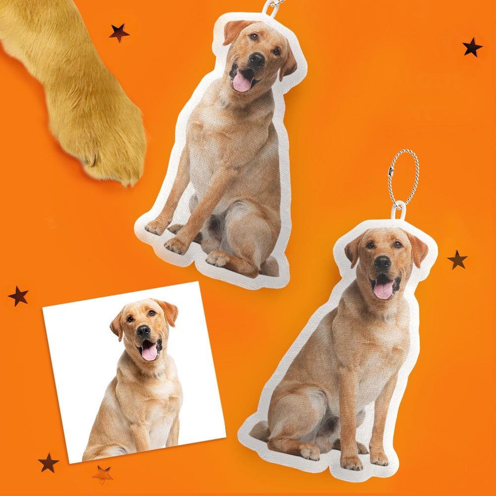 Coussin Personnalisé avec Photo | Décoratif et Cadeau Unique