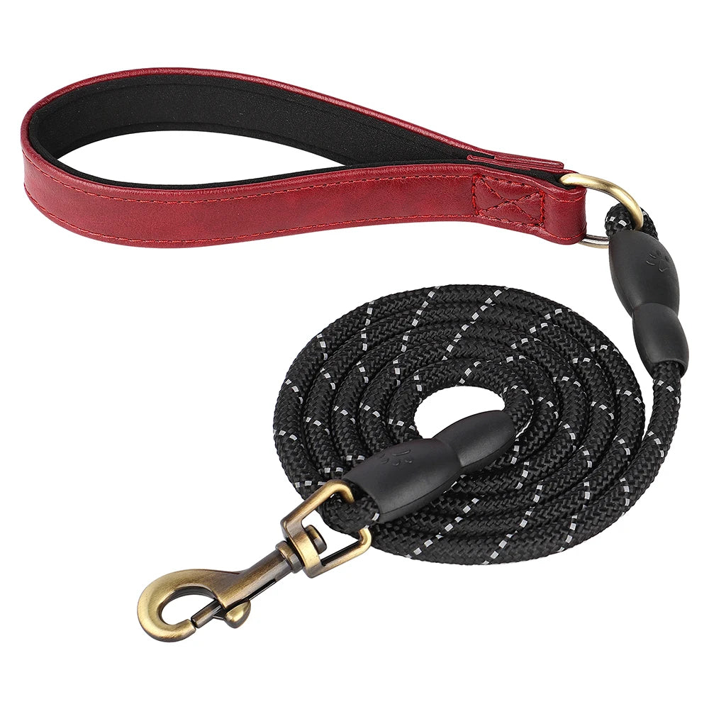 Ensemble Collier et Laisse Personnalisés pour Chien | Cuir PU avec Médaille Gravée