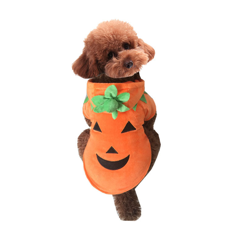 Vêtement Citrouille pour Chien – Habit Drôle et Chaud pour Halloween et Hiver