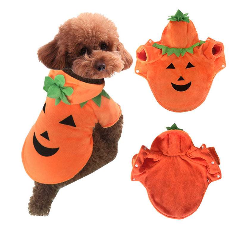 Vêtement Citrouille pour Chien – Habit Drôle et Chaud pour Halloween et Hiver