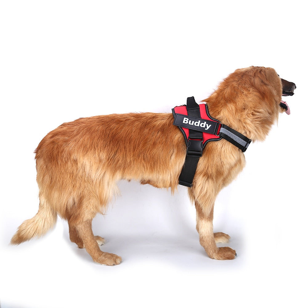 Harnais Chien Personnalisé | Anti-Traction Réfléchissant & Ajustable | Harnais Respirant avec Patch Nom