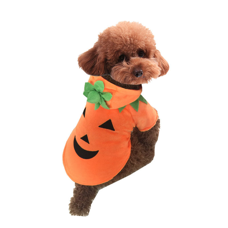 Vêtement Citrouille pour Chien – Habit Drôle et Chaud pour Halloween et Hiver