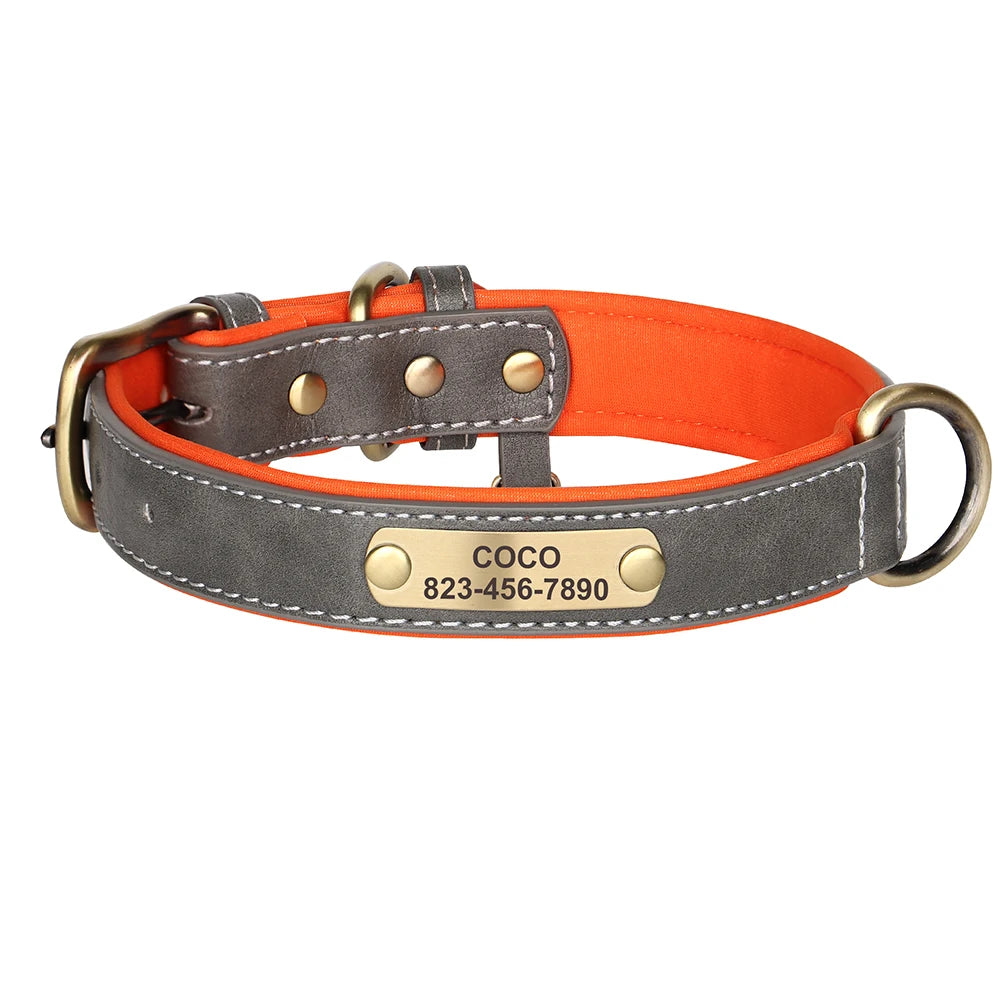 Ensemble Collier et Laisse Personnalisés pour Chien | Cuir PU avec Médaille Gravée