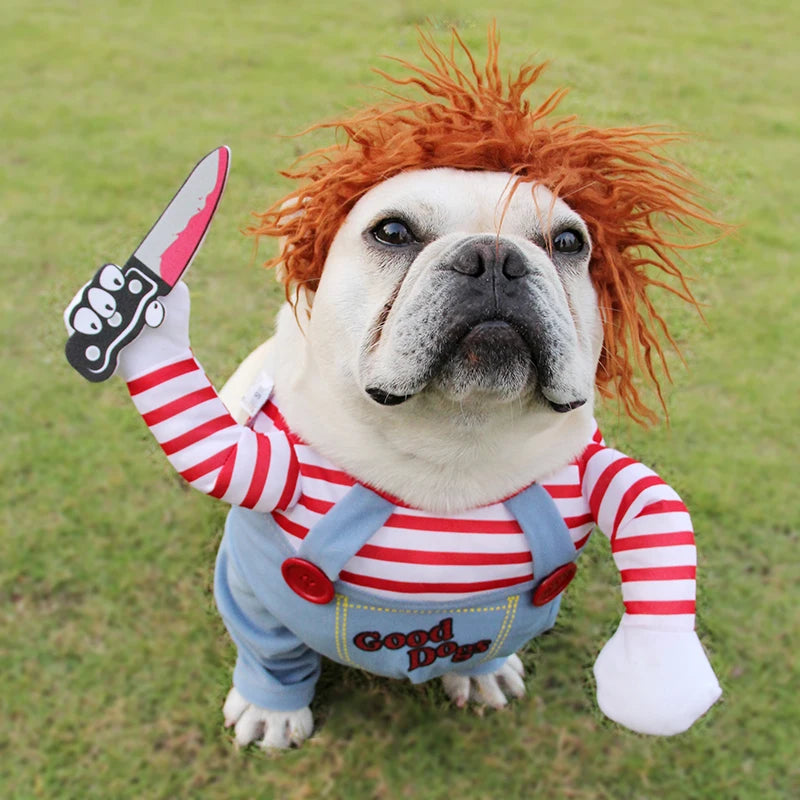 Costume Halloween pour Chien – Déguisement Drôle et Réglable, Cosplay Original pour Chiens Moyens et Grands