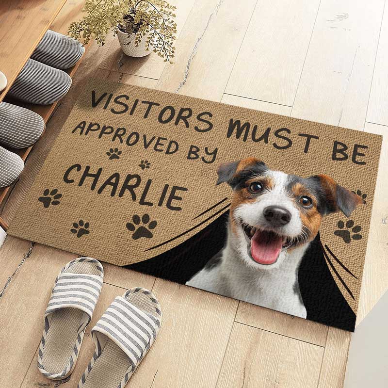 Paillasson Personnalisé avec Photo – Visitors Must Be Approved By This Dog/Cat | Décoration Maison Originale