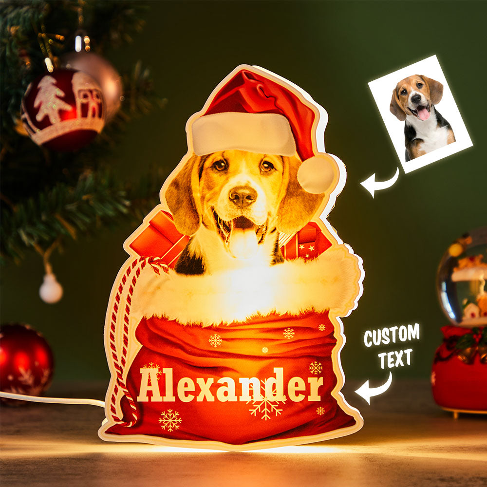 Lampe Veilleuse Animaux Personnalisée avec Photo – Cadeau de Noël Unique | Lampe de Chevet Gravée