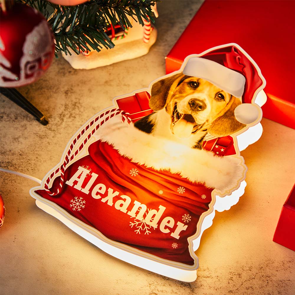 Lampe Veilleuse Animaux Personnalisée avec Photo – Cadeau de Noël Unique | Lampe de Chevet Gravée