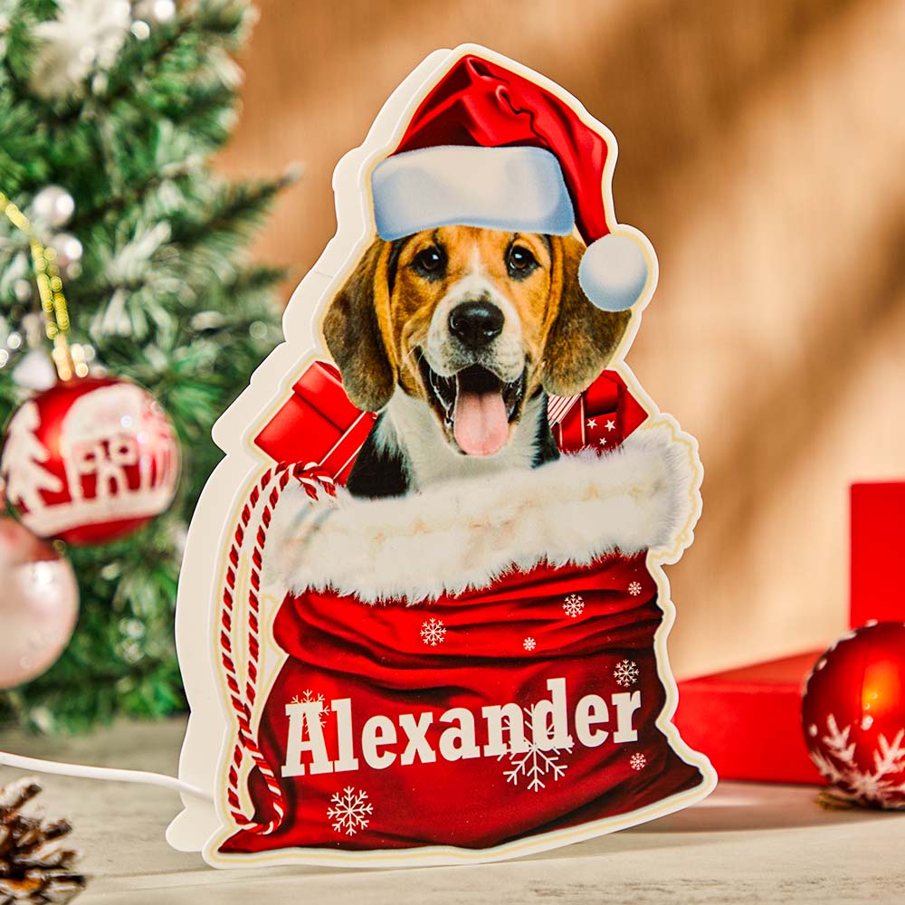 Lampe Veilleuse Animaux Personnalisée avec Photo – Cadeau de Noël Unique | Lampe de Chevet Gravée